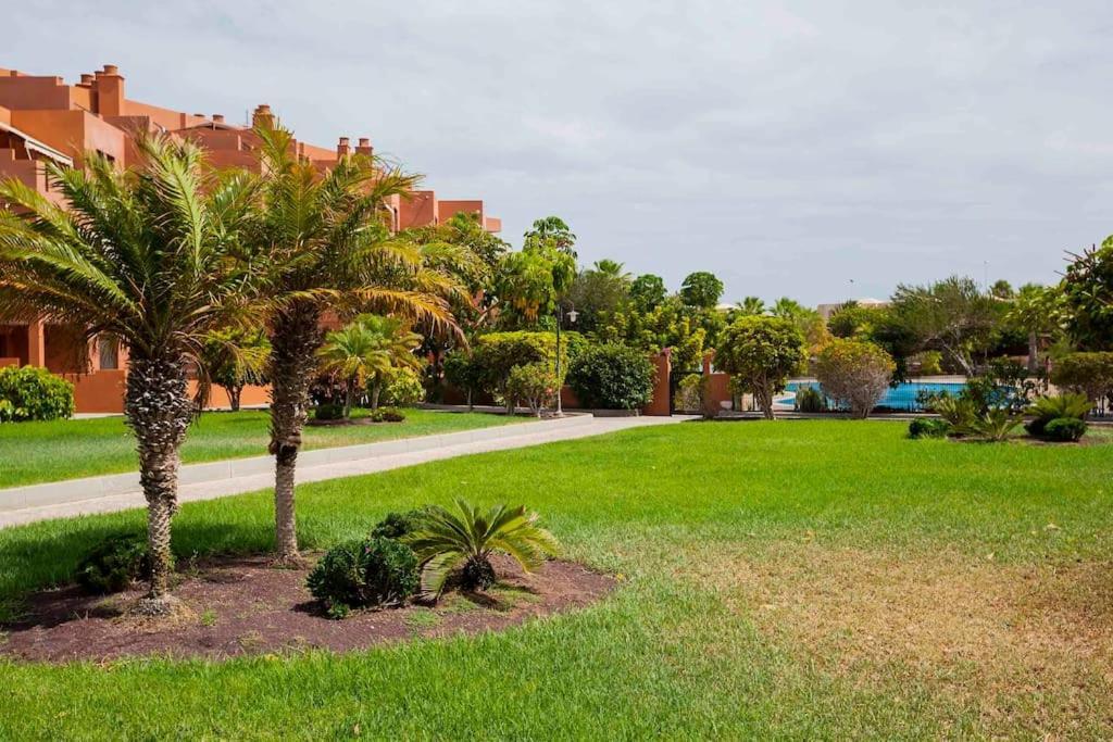 Luxury Apartment Sotavent III El Médano المظهر الخارجي الصورة